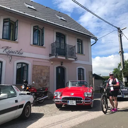 Maison d'hôtes Na Kopecku Ad 1795 - S Restauraci A Wellness