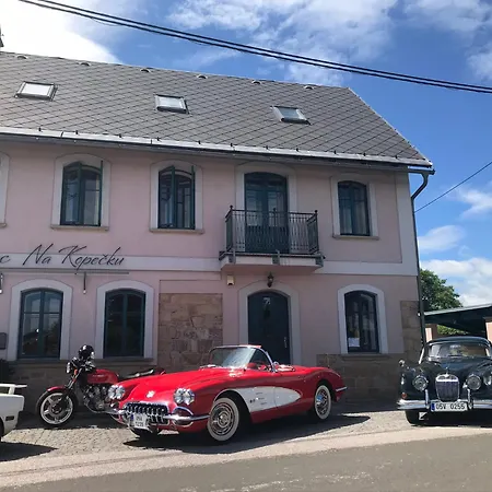 Na Kopečku Ad 1795 - S Wellness A Restaurací Collina Di Nuovo Penzion Dvůr Králové nad Labem