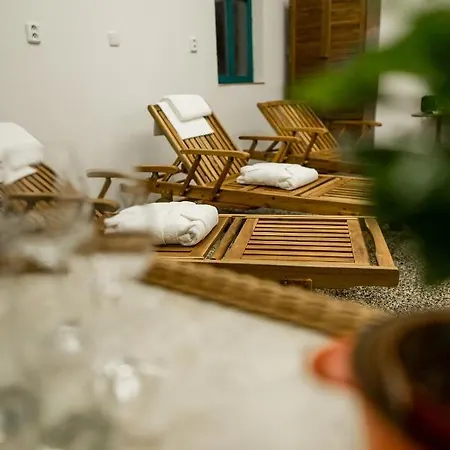 Guest house Na Kopecku Ad 1795 - S Restauraci A Wellness V Podkrkonosi Dvur Kralove nad Labem
